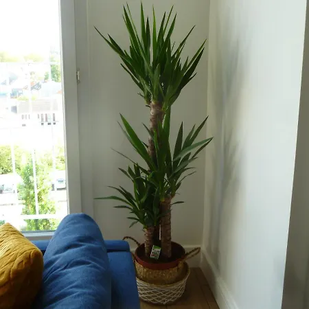 Apartamento Grand Angle Au 7ieme Ciel Avec Vue Panoramique! Reims